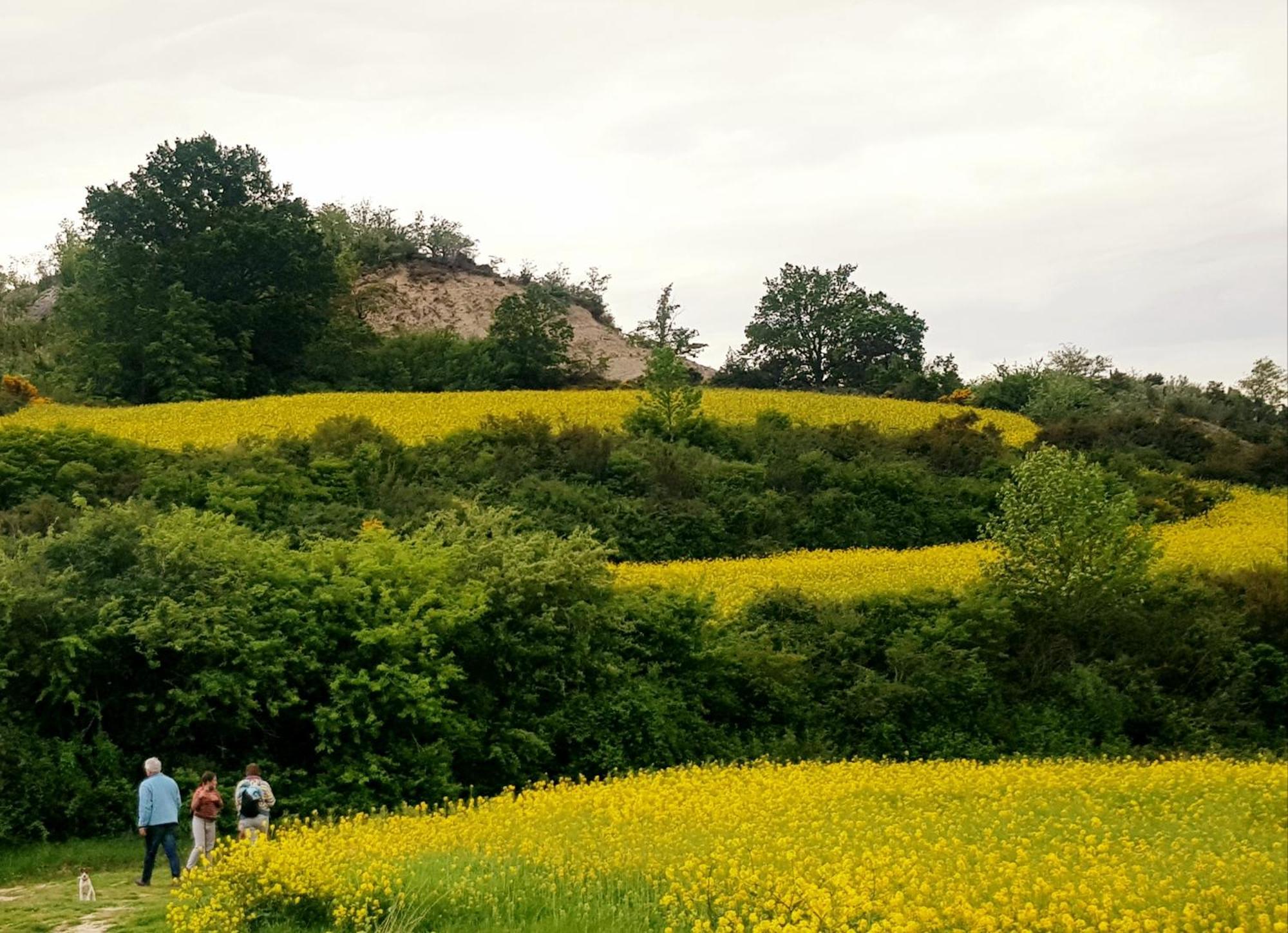 Casa Rural Basaula Muneta ภายนอก รูปภาพ