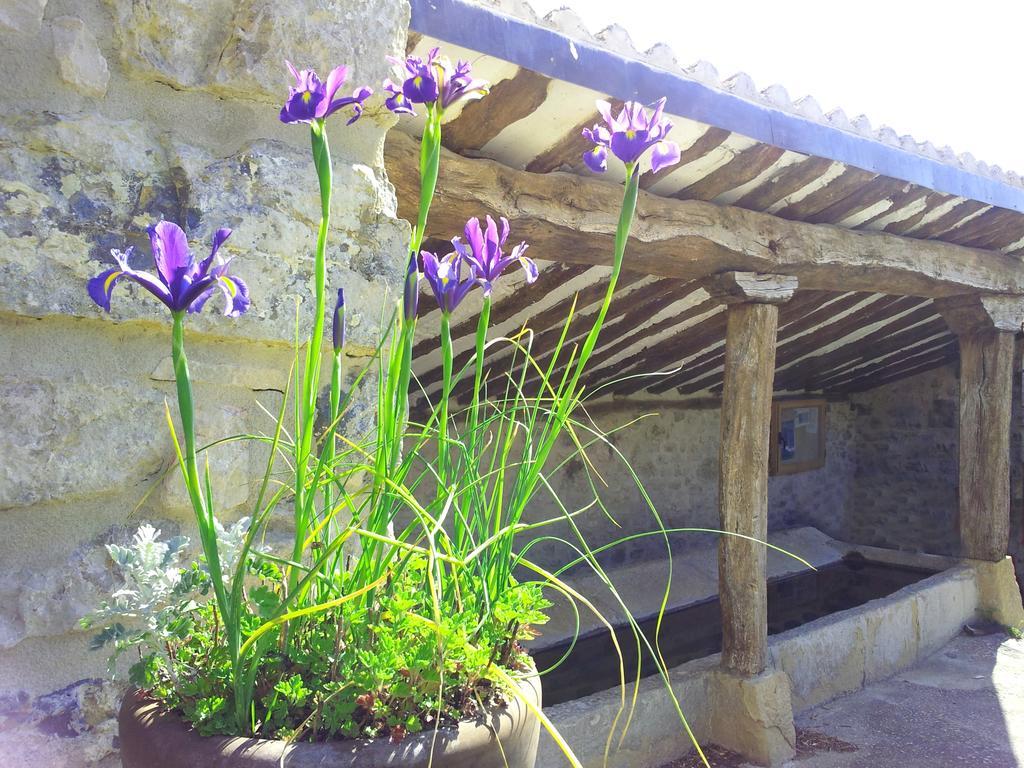 Casa Rural Basaula Muneta ภายนอก รูปภาพ